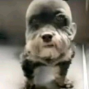 avatar shadow itadori