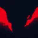 pfp
