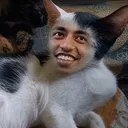 luxaaop