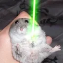 hampterceo