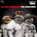 winnermanmoneyshark0941