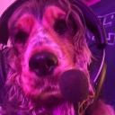 avatar 𝕯𝖎𝖆𝖓𝖆