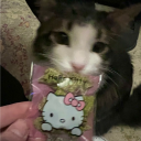 avatar Sakura 平和  🌸