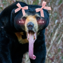 avatar Sunbear