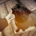 thewondx