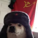 mrninja53 avatar