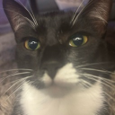 avatar days like these i want over