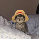 monkeydpulutan