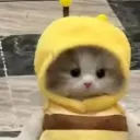 _criltxl