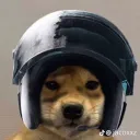 coolemilio