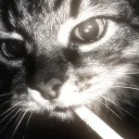 blu3_bird420