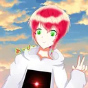 apex_beginner