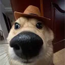 migueloliveiradev
