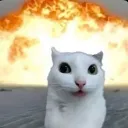 kawaii.__.ngga