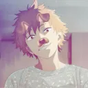 _bogdi