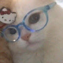 avatar owo