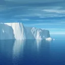 arctic_guy