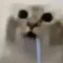 squeekky
