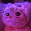 avatar 𑣲꒒ ꀤ ꋊ A