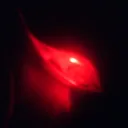 nemisar