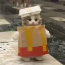 nerotvlive