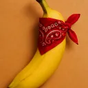 dalegomango
