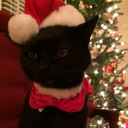 avatar ღ𝒜𝓊𝓇𝒾༻