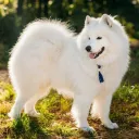 vyvy5854
