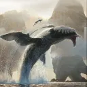 zoodya