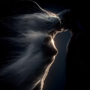 avatar MiSsAnthropy