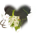 avatar ꪆৎ    𝖈ade