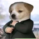 cyantie avatar