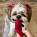 henry_4268