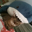 avatar Unsure of name