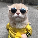 Discord Avatar