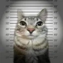 blej1337 avatar