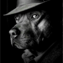 avatar fackin psaicho