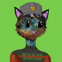 bougiecats