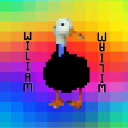 avatar Wiliam
