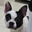 x_christian_x12 avatar