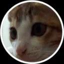 pdtrafid