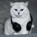 https://cdn.discordapp.com/avatars/946114793683709975/2c5f714089106e92535269ef71f3b48a.jpg?size=128