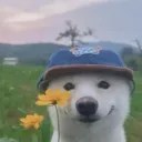 roguemxyz