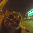 Аватар freabsy