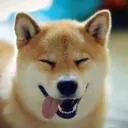oshibez avatar