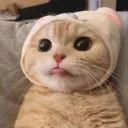 chiefnxtdoor