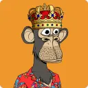 mrnftexpert