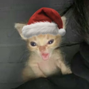 avatar ꧁꧂𑁍𝓢𝓷𝓸𝔀𝓼𝓽𝓸𝓻𝓶𑁍꧁꧂