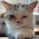 avatar ᲼᲼᲼᲼᲼᲼᲼