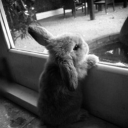 avatar 𝒩𝓎𝓍.